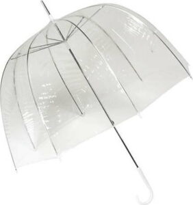 Transparentní holový deštník Ambiance Birdcage Cloche