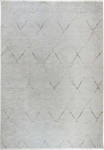 Šedý koberec 80x150 cm Jaipur – Webtappeti Webtappeti