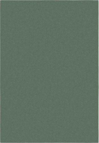 Zelený koberec 200x290 cm – Flair Rugs Flair Rugs